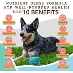 Dog Vitamin Supplement Supplier - Vet Recommended MultiVitamin for Mood Skin Coat