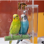 Acrylic Birdcage Manufacturer - Panoramic Transparent Breeding Box Set Wholesale
