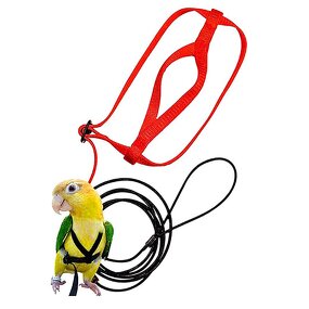 Parrot Harness Factory - Flying Traction Rope Training Walking Leash Wholesale