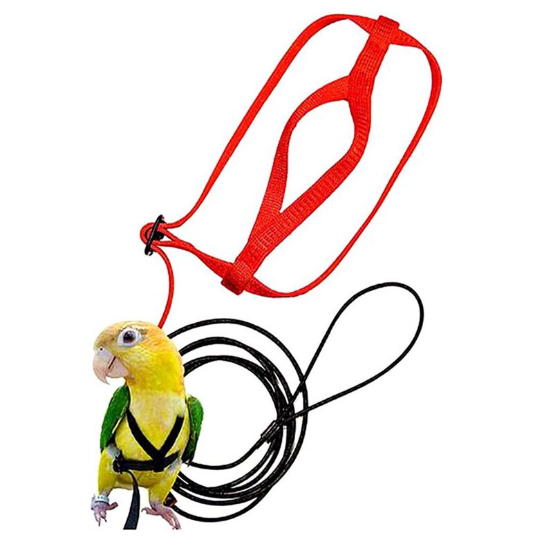 Parrot Harness Factory - Flying Traction Rope Training Walking Leash Wholesale
