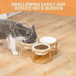Elevated Cat Bowl Supplier - Set of 3 Single Raised Stainless Steel Dish Stand
