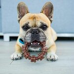 Dog Chew Toy Supplier - Tough Durable Ring Toy for Aggressive Chewers