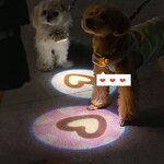 LED Dog Collar Factory - Rechargeable Lighted Glow Flashing Night Waterproof