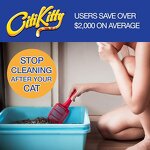 Cat Toilet Training Kit Supplier - CitiKitty One Pack Litter Box Trainer