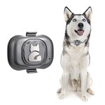 Pet GPS Locator Supplier - Smart Wearable Waterproof Anti-lost Tracker