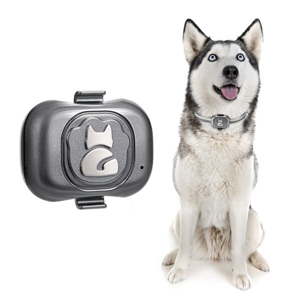 Pet GPS Locator Supplier - Smart Wearable Waterproof Anti-lost Tracker