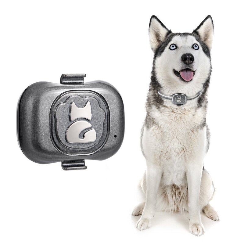Pet GPS Locator Supplier - Smart Wearable Waterproof Anti-lost Tracker