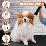 Pet Grooming Dryer Factory - Adjustable Speed Temperature Dog Blow Dryer Nozzles