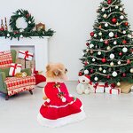 Christmas Pet Dress Manufacturer - Princess Dress Winter Teddy Small Dog Cat