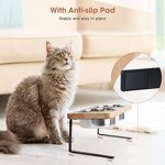 Elevated Cat Bowl Manufacturer - 15° Tilted Raised Wood Stand Anti Vomiting Bowl