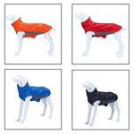 Pet Clothes Supplier - Autumn Winter Outdoor Sports Cold-proof Waterproof Ski
