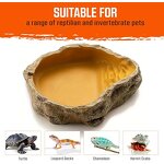 Reptile Dish Manufacturer - Resin Rock Feeder Bowl Water Food Dish Terrarium Decor