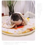 Cat Sleeping Mat Factory - Thickened Plush Floor Mat Nest Winter Warm Blanket