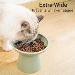 Ceramic Cat Food Bowl Factory - Extra Wide Shallow Dish for Whisker Fatigue Relief