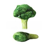 Plush Pet Toy Factory - Dog Chewing Catnip Chew Toys Wholesale