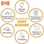 Dog Chew Toy Supplier - Tough Durable Ring Toy for Aggressive Chewers