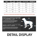 Pet Clothes Supplier - Autumn Winter Outdoor Sports Cold-proof Waterproof Ski