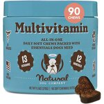 Dog Vitamin Supplement Supplier - Vet Recommended MultiVitamin for Mood Skin Coat