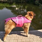 Dog Life Jacket Manufacturer - Swimming Safety Suit Flotation Vest for Pets