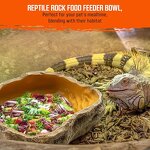 Reptile Dish Manufacturer - Resin Rock Feeder Bowl Water Food Dish Terrarium Decor