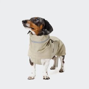 Dog Raincoat Factory - Waterproof Dachshund Coat Long Back Breed Coverage