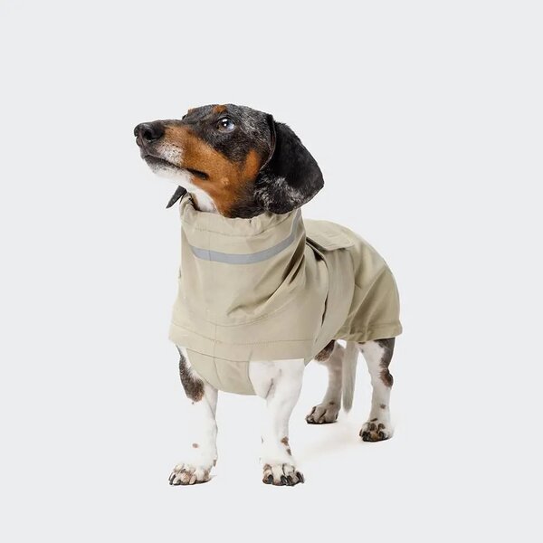 Dog Raincoat Factory - Waterproof Dachshund Coat Long Back Breed Coverage