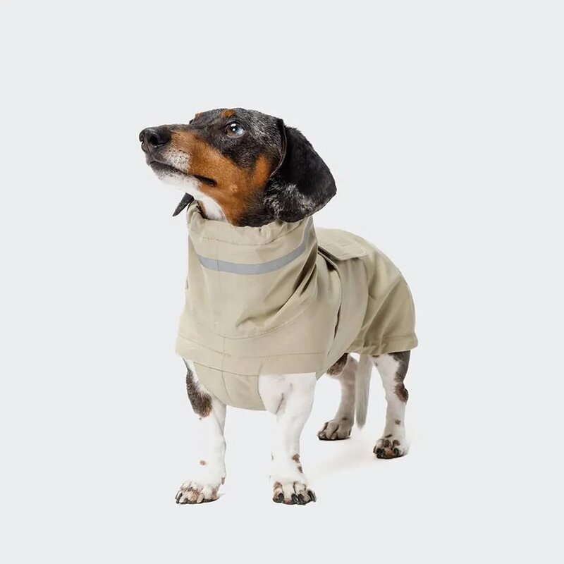 Dog Raincoat Factory - Waterproof Dachshund Coat Long Back Breed Coverage