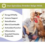 Dog Vitamin Supplement Supplier - Vet Recommended MultiVitamin for Mood Skin Coat