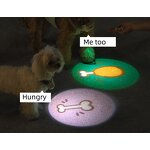 LED Dog Collar Factory - Rechargeable Lighted Glow Flashing Night Waterproof