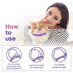 Calming Cat Collar Supplier - Long-Lasting Pheromone Collar Reduces Stress