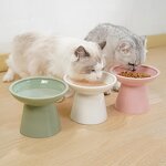 Ceramic Cat Food Bowl Factory - Extra Wide Shallow Dish for Whisker Fatigue Relief