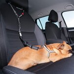 Pet Car Harness Supplier - Retractable Elastic Reflective Belt Ring Car Leash