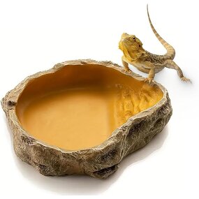 Reptile Dish Manufacturer - Resin Rock Feeder Bowl Water Food Dish Terrarium Decor
