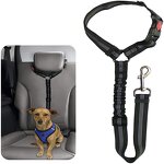 Pet Car Harness Supplier - Retractable Elastic Reflective Belt Ring Car Leash