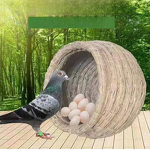 Pigeon Nest Factory - Grass Nest Basin Racing Breeding Nest Supplies Wholesale