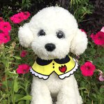 Pet Saliva Towel Factory - Adjustable Cute Collar Bib Scarf for Grooming