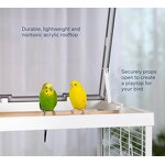 Acrylic Birdcage Manufacturer - Panoramic Transparent Breeding Box Set Wholesale