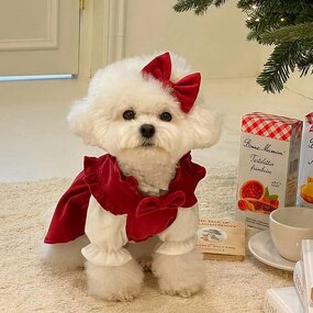 Christmas Pet Dress Manufacturer - Princess Dress Winter Teddy Small Dog Cat