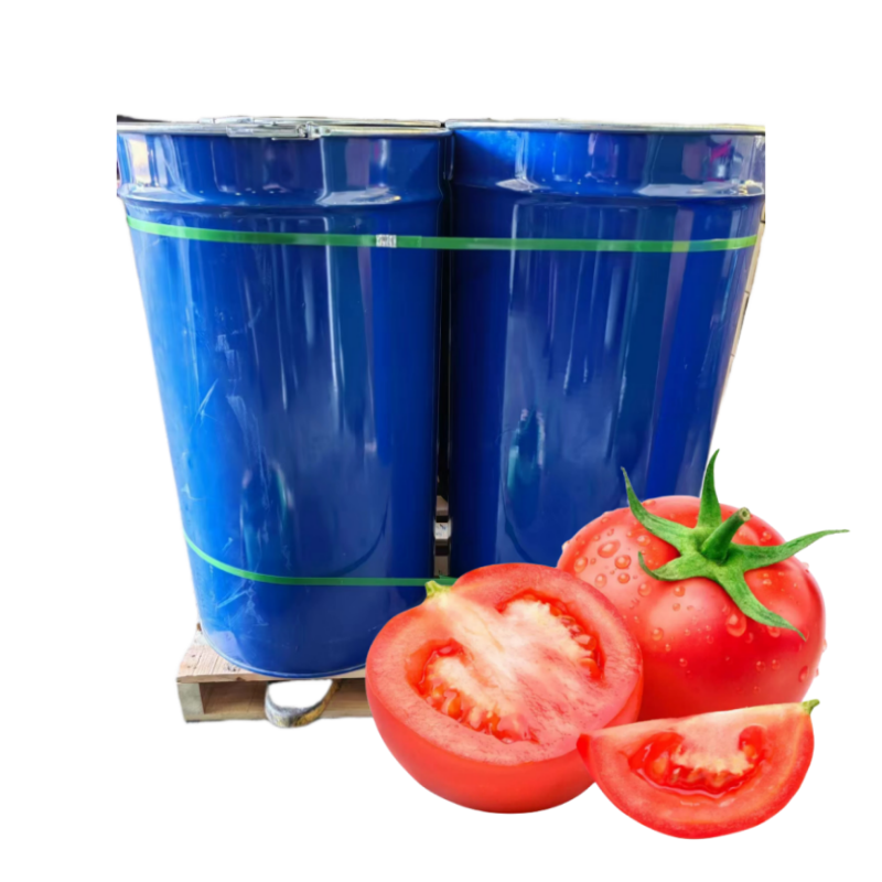 Fresh Taste Natural Product Brix 36 38 Tomato Paste Drum Packing