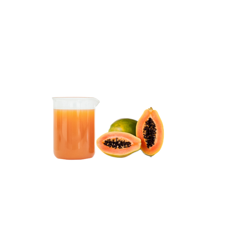Aseptic 200kg Steel Barrel Pack Pure Natural Pawpaw Fermented Juice Raw Material Fruit Vegetable Beverage Fruit Vegetable Juice