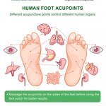 Body Cleansing Foot Pad Supplier - Toxins Cleansing Beautify Skin Foot Patch