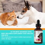 Calming Liquid Drops Supplier - OEM Organic for Arthritis Multivitamin