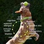 11-in-1 Supplement Powder Manufacturer - OEM for Whole Body Support