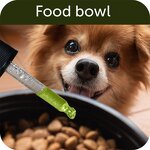 Hemp Oil for Pets Manufacturer - OEM Anxiety Pain Hip Joint Support