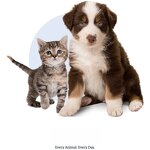 Goat Milk Powder Supplier - Full-Fat for Puppy Weaning Hot Item