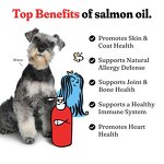 Salmon Oil Manufacturer - OEM for Dogs Cats Skin Coat Joint