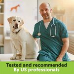 Hemp Oil for Pets Manufacturer - OEM Anxiety Pain Hip Joint Support