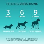 Probiotics for Dogs Manufacturer - OEM Custom Label Digestive Health