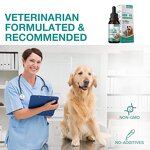 Herbal Supplements for Pets Factory - OEM Hip Joint Calming Hemp Oil