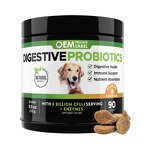 Dog Probiotics Chews Manufacturer - Private Label Digestive with Chondroitin